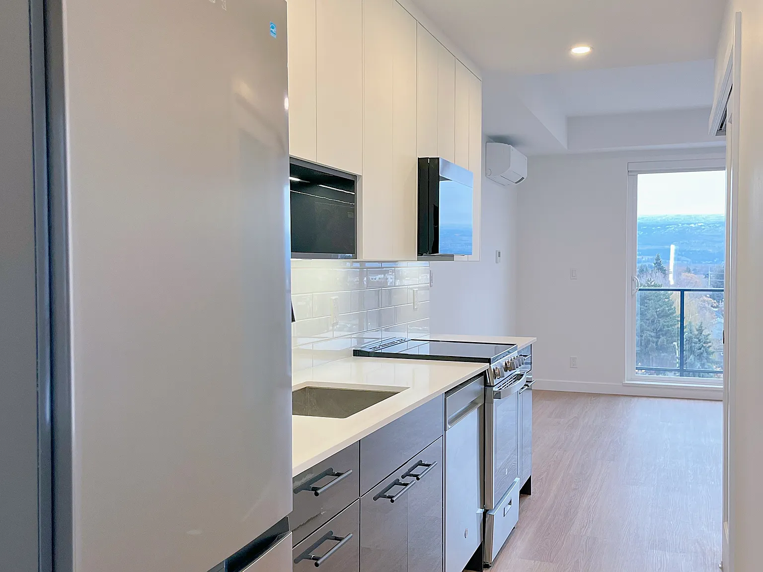 1 bed, 650 sqft, $1,699 — Photo 3