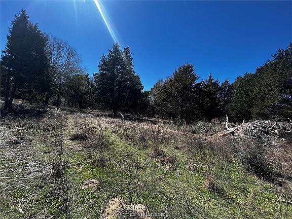 3rd image of County Road 342