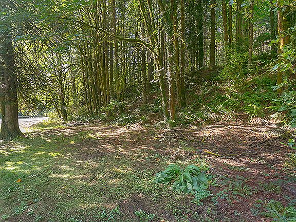 2nd image of 57140 NW Wilson River Hwy