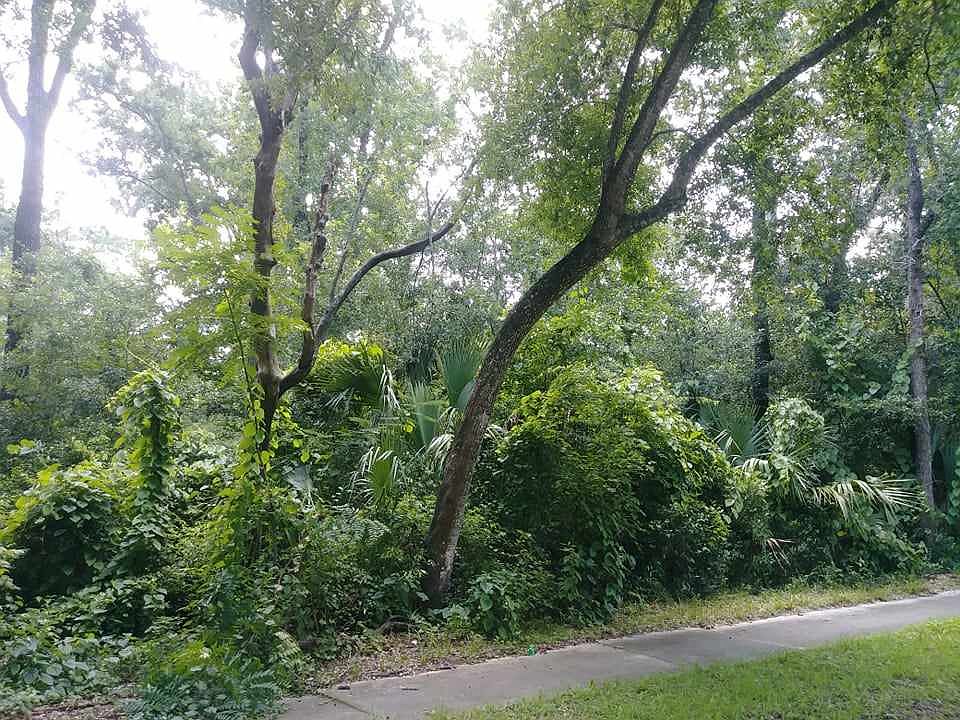 1st image of 1202 SE 3rd Ave
