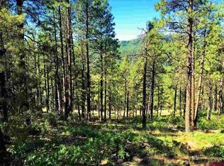 333 Deer Ridge Dr, Bayfield, CO 81122
