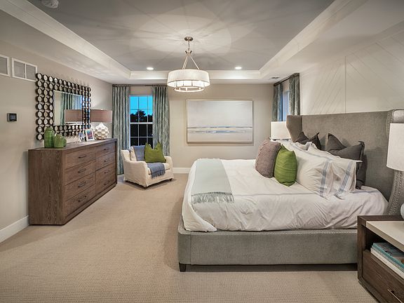 Primary bedroom suite with tray ceiling