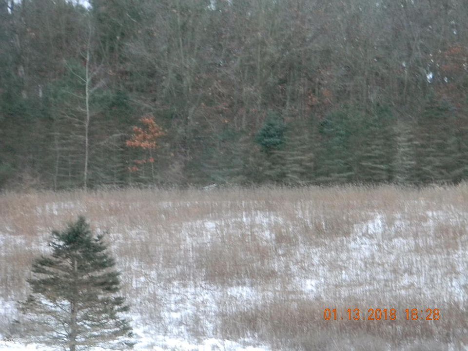 2nd image of 12715 Lincoln Lake Ave