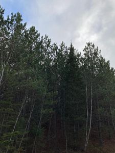 On Cth Lot 3, Tomahawk, WI, 54487