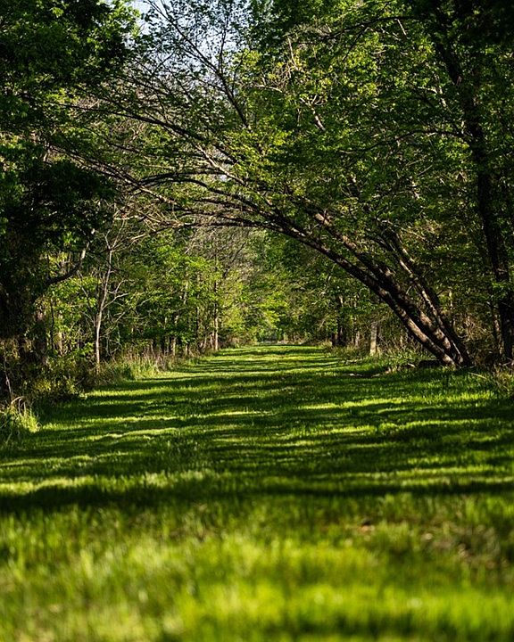 49th image of this home