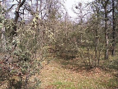 5th image of 9205 Monument Dr