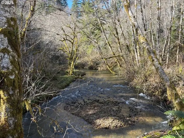 0 Steer Creek Rd, Blodgett, OR 97326