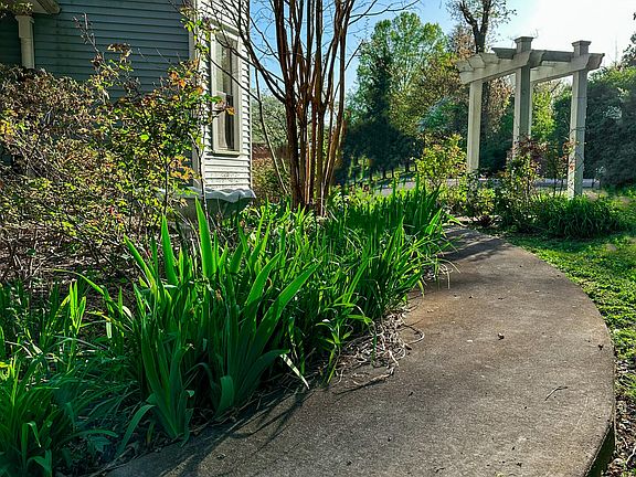 4th image of 12 Wyandotte Ave W