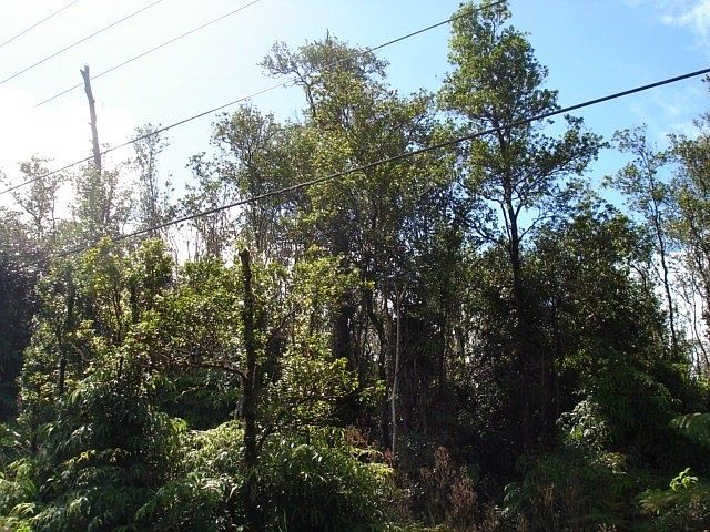2nd image of 11 2829th #16