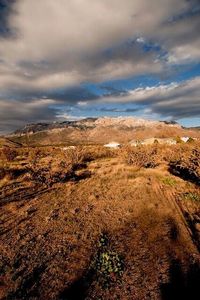 Elena Dr NE, Albuquerque, NM, 87122