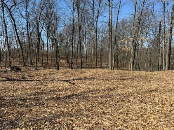 8180 N Echo Valley Dr, Irons, MI 49644