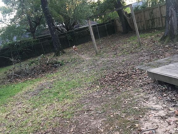 3rd image of 127 Lakewood Dr