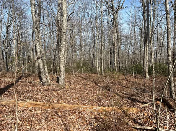 N/a Parkstown Rd, Wilder, TN 38589