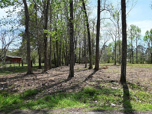 4th image of LOT 6 County Road 2360