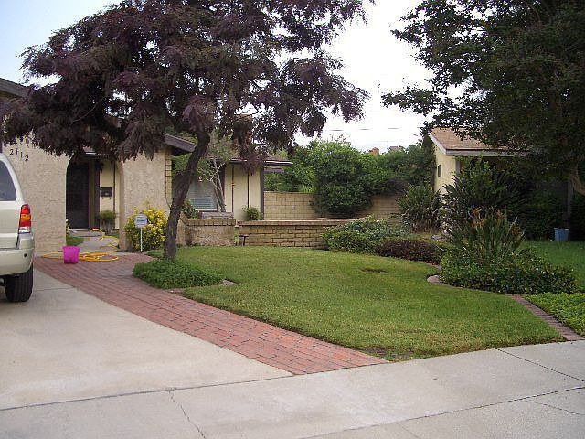 Front view