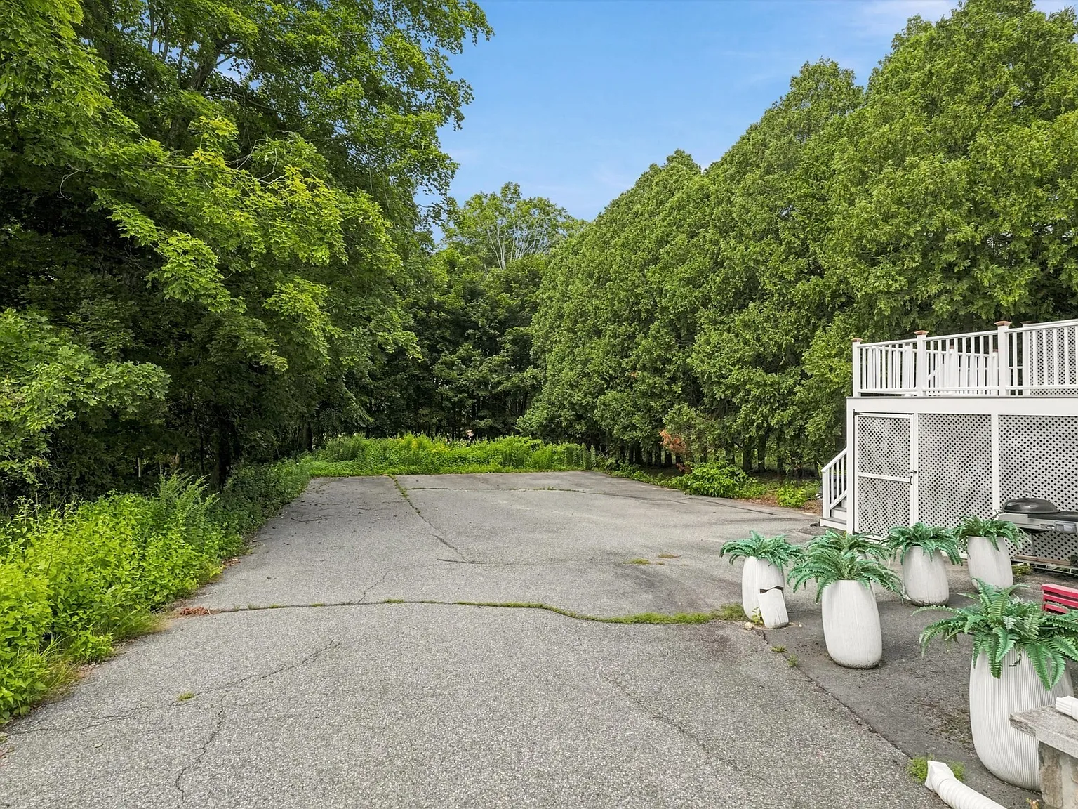 3 bed, 1.5 bath, 1184 sqft, $3,700 — Photo 4