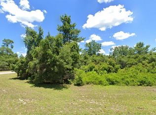 SW 165th Street Rd LOT 10, Ocala, FL 34473