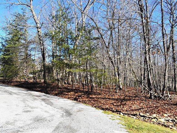 3rd image of 49 Bingham Ln #7