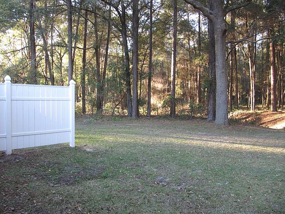 Back Yard View