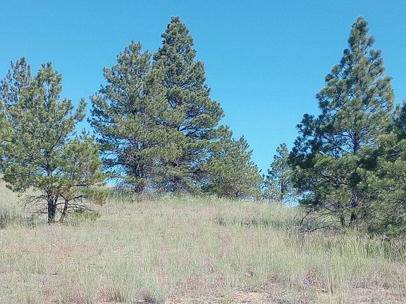 3rd image of Jack Pine Dr