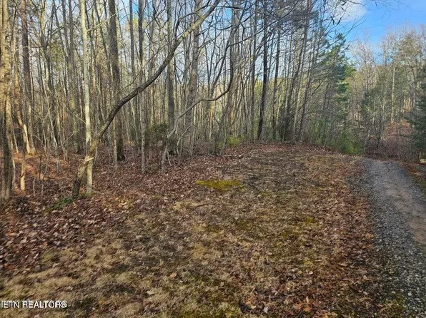 0 Branch Dr, Newport, TN 37821