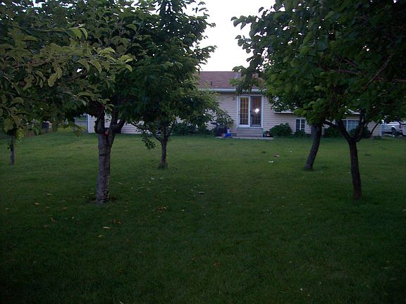 Straight Behind House