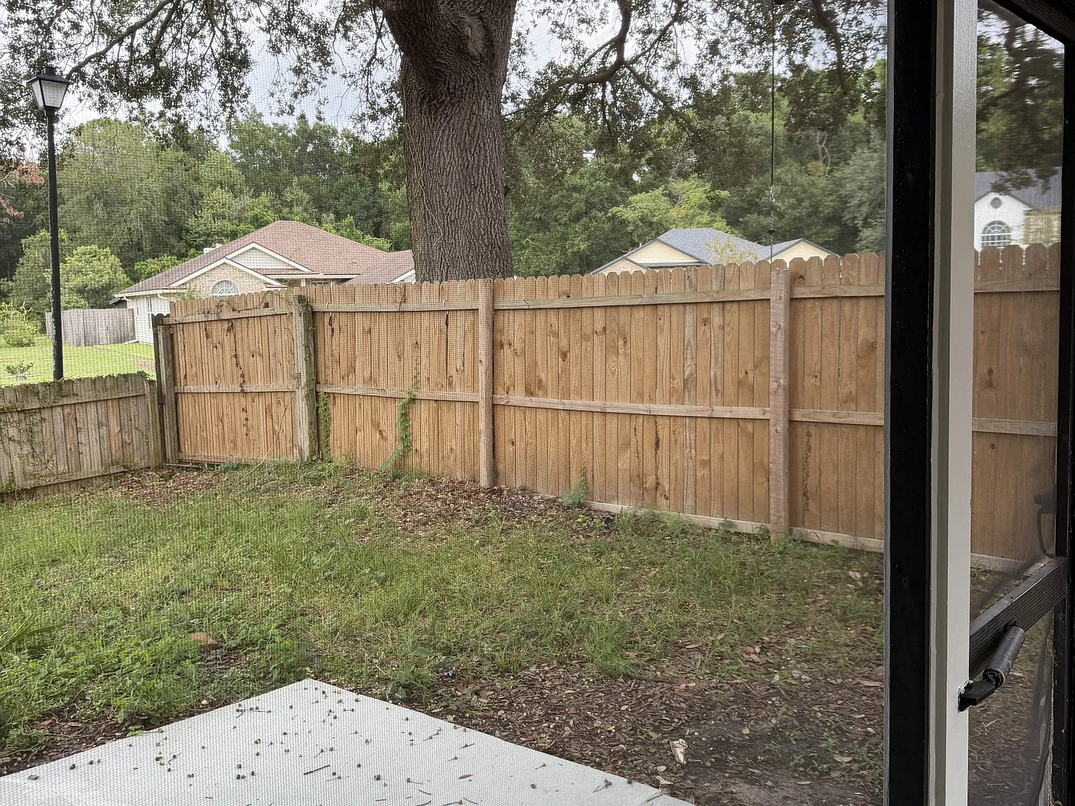 3391 Shauna Oaks Drive - 1 — Photo 2