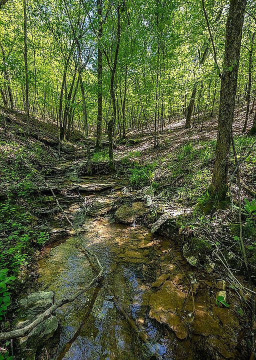 1st image of 3 Woodland Cir
