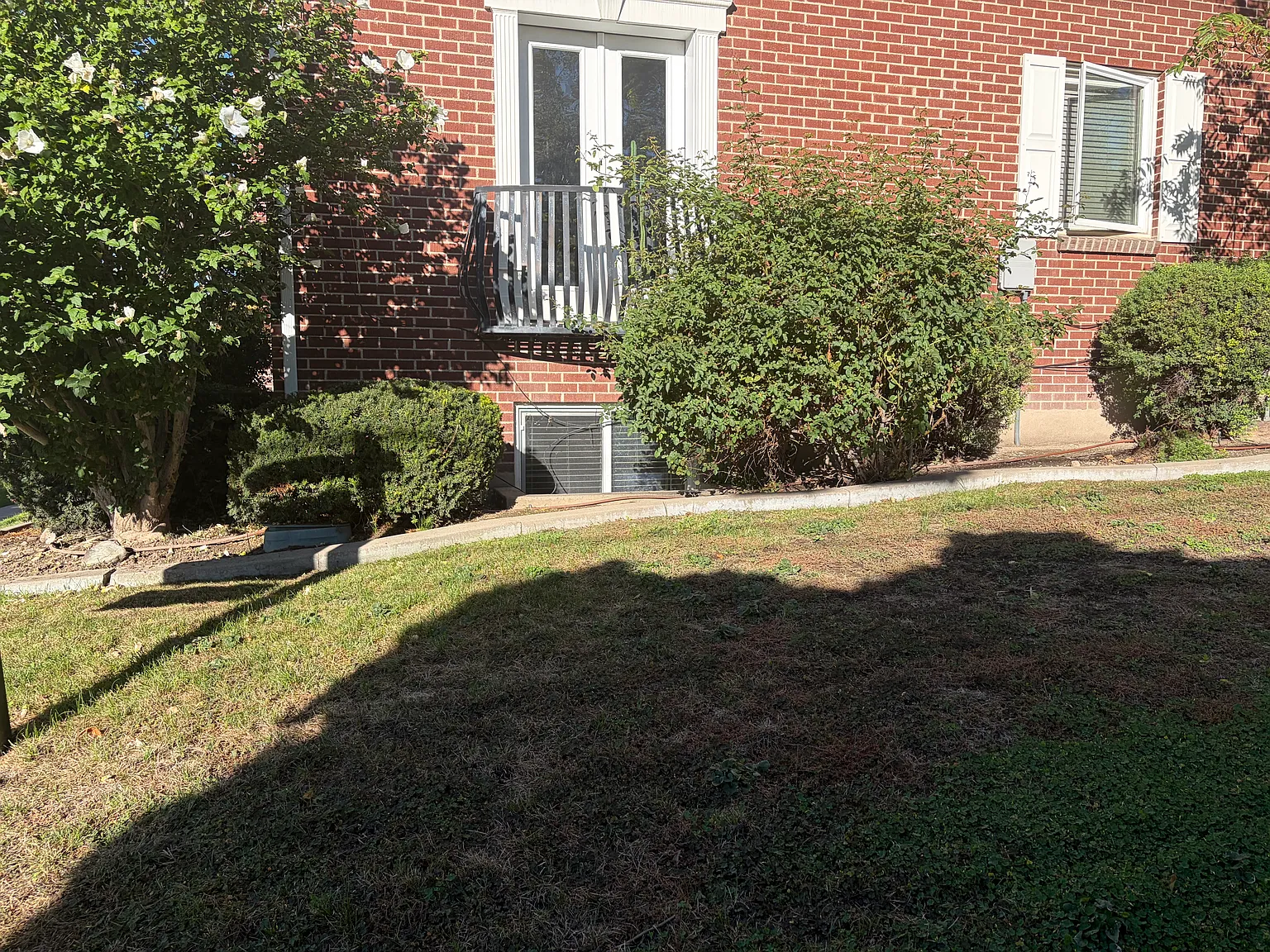 1 bed, 406 sqft, $1,350 — Photo 3