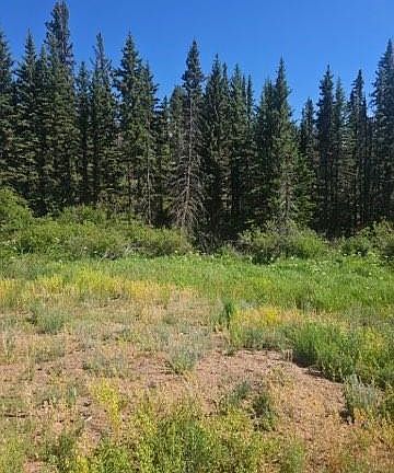 5th image of 1164 Arapahoe Creek Trail
