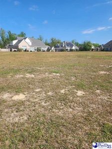2599 Edinberg Way, Florence, SC, 29501