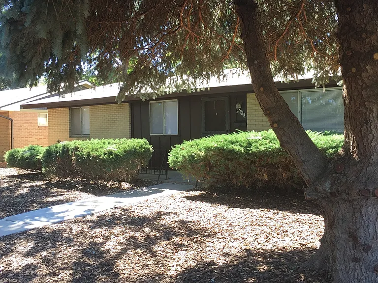 1033 Grant St — Photo 13