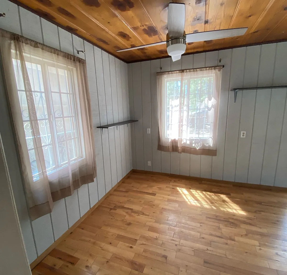 Studio, 256 sqft, $850 — Photo 3