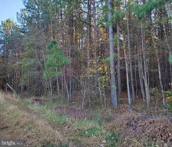 LOT 133 McKinney Blvd, Colonial Beach, VA, 22443