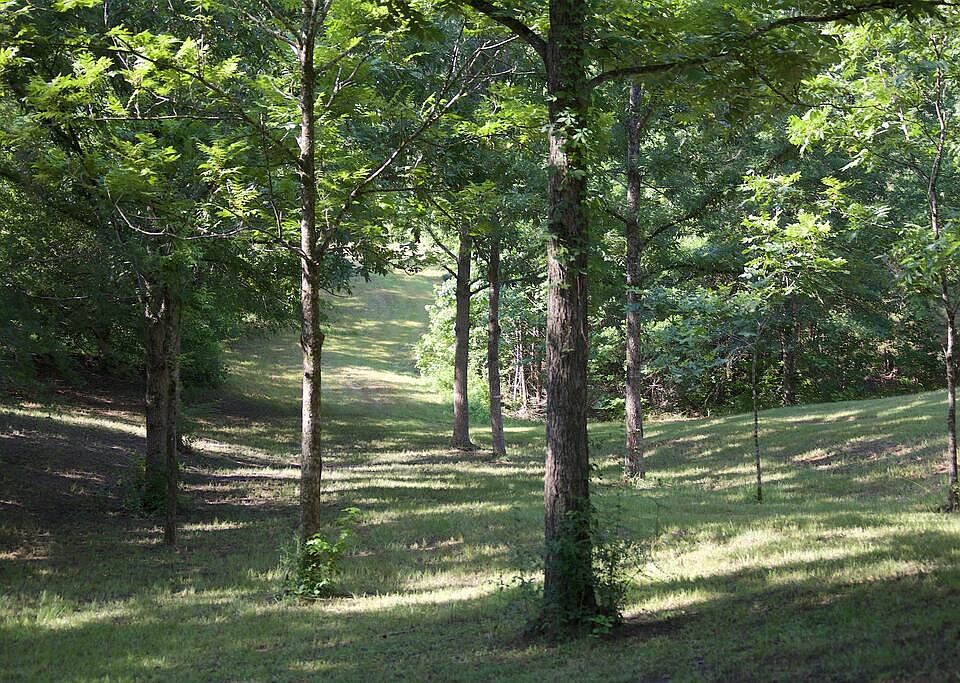1st image of 214 Mississippis 310