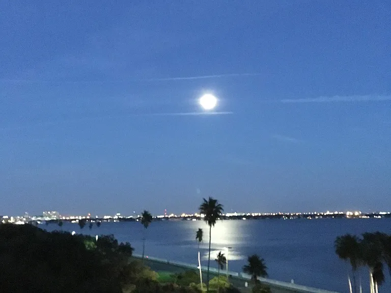 View from balcony