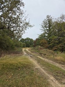 Tbd Cr 321, Comanche, TX, 76442