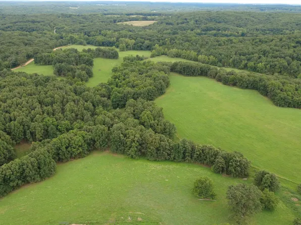 000 County Road 443, Cross Timbers, MO 65634