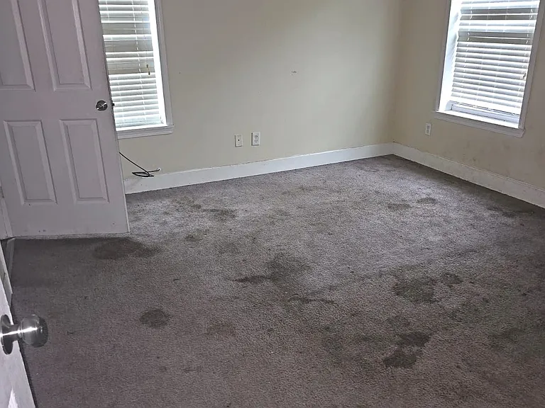 154 Alview Dr — Photo 18