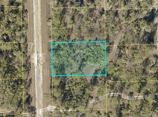 2199 Winnetka Dr, Lehigh Acres, FL 33972