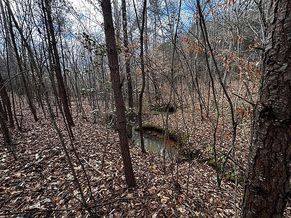 3rd image of 0 Carter Smith Rd