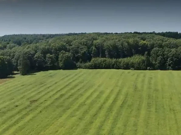 Leckrone Rd Parcel A, Brethren, MI 49619