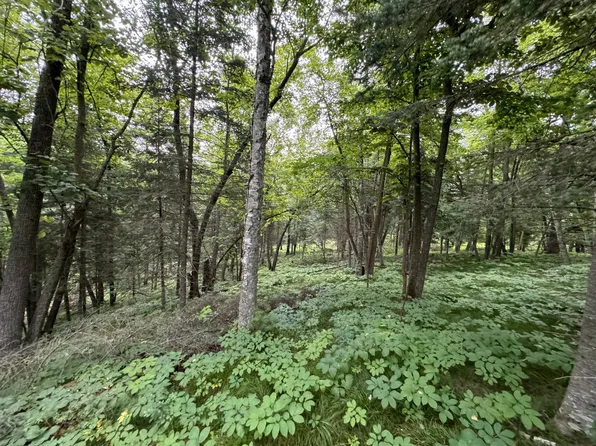 Tbd4 Chokecherry Dr, Nevis, MN 56467