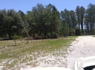 115 Blueberry Hill St, Pomona Park, FL 32181