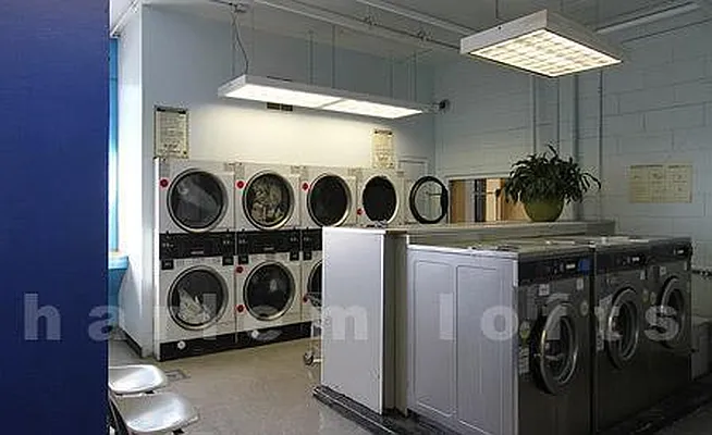 Rented by Harlem Lofts | media 9