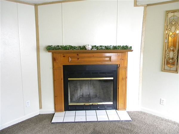 Working Fireplace