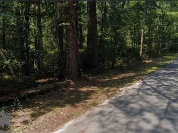 Tbd Pompey Ave, Vernon, FL 32462