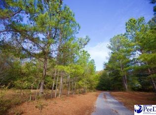 Goose Pond Ln TRACT 1, Florence, SC 29506