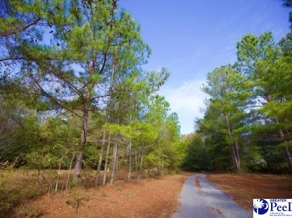 Goose Pond Ln Tract 1, Florence, SC 29506
