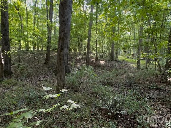 2nd image of 1402 Bloomsberry Ln